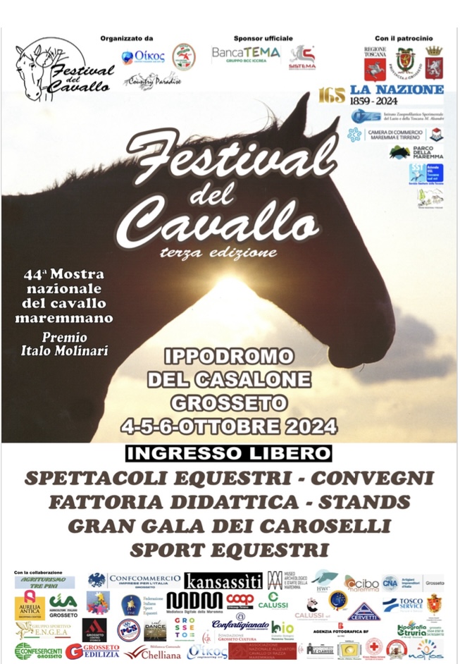 La locandina del festival