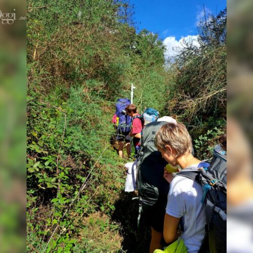 I ragazzi mentre fanno trekking