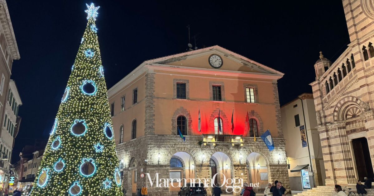 L'albero di Natale installato in piazza Dante