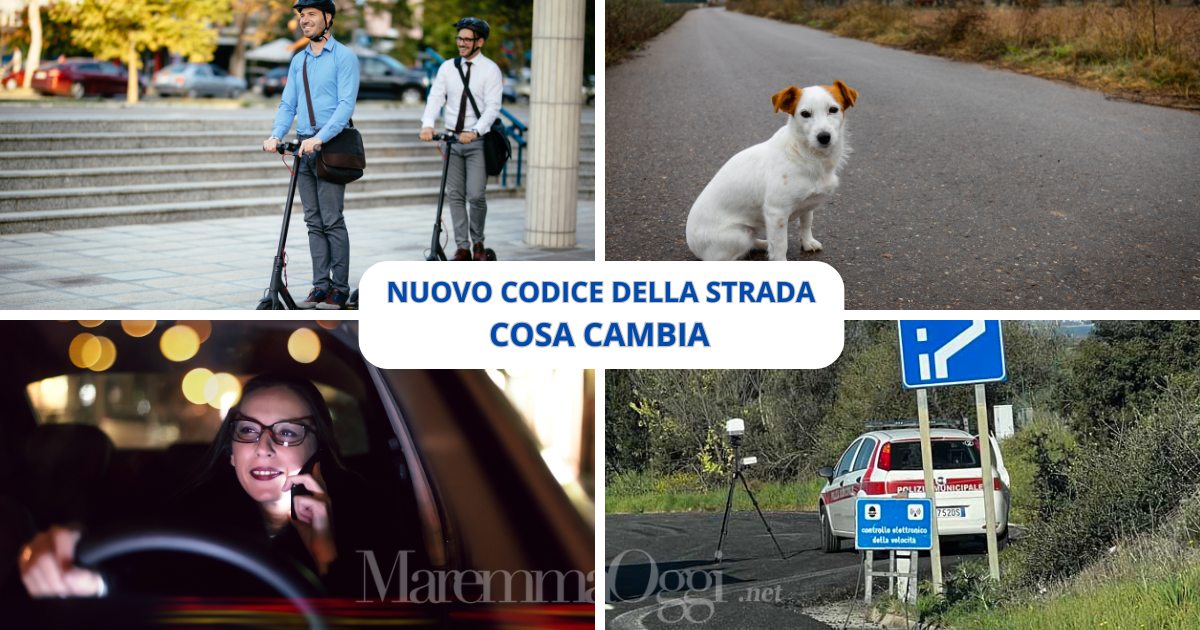 Nuovo codice della strada, cosa cambia. Sanzioni inasprite anche per chi abbandona animali