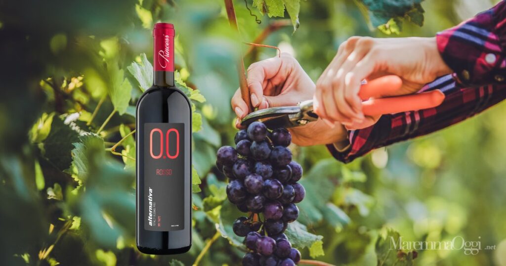 Arriva il vino senza alcol in Italia. Un momento della vendemmia e una bottiglia di vino ad alcol zero