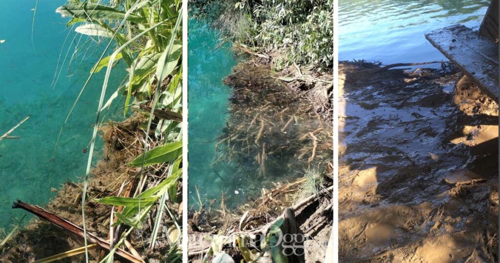 Una tripla immagine sui danni al lago dell'Accesa tratta dal report