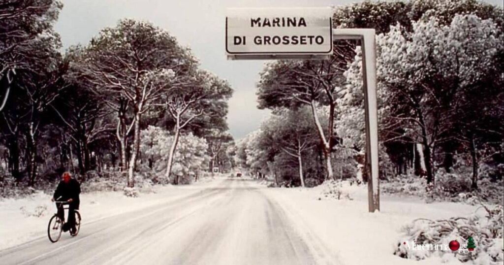 Una splendida foto scattata nel gennaio del 1985 da Elena Pietri nella via di accesso a Marina di Grosseto