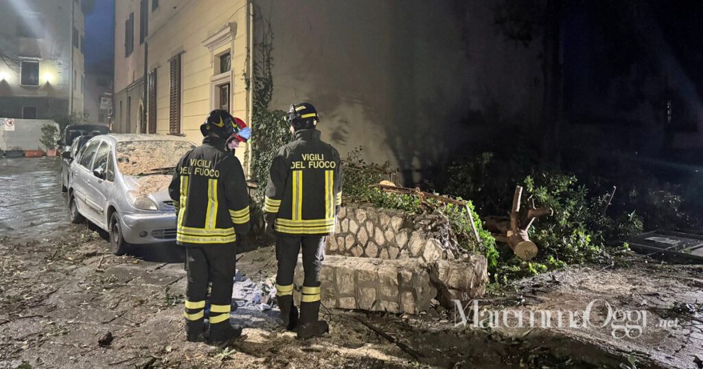 I vigili del fuoco al lavoro per rimuovere l'albero crollato in centro storico a Grosseto