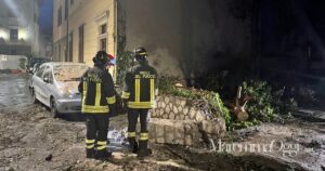 I vigili del fuoco al lavoro per rimuovere l'albero crollato in centro storico a Grosseto