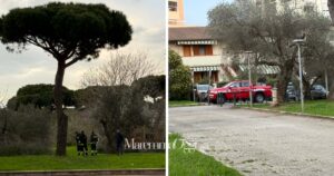 L'intervento dei vigili del fuoco ai giardini del Perticale