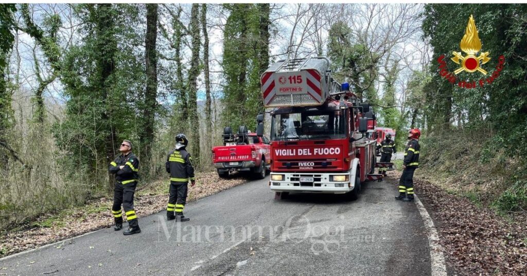 L'intervento dei vigili del fuoco sulla provinciale a Boccheggiano