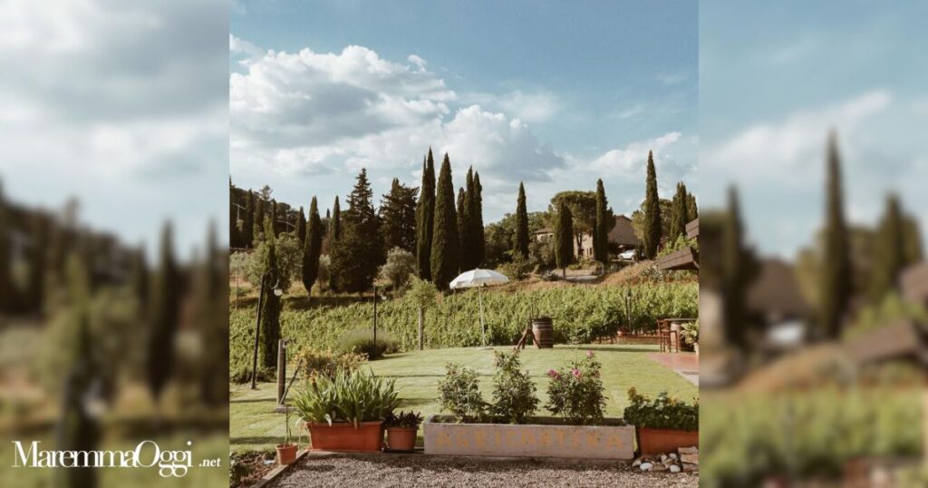 Il giardino dell'Agriristoro di Begnardi Vini