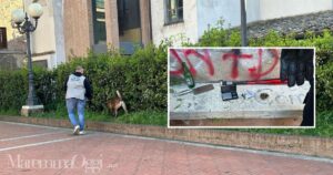 Il controllo con il cane antidroga e i ritrovamenti