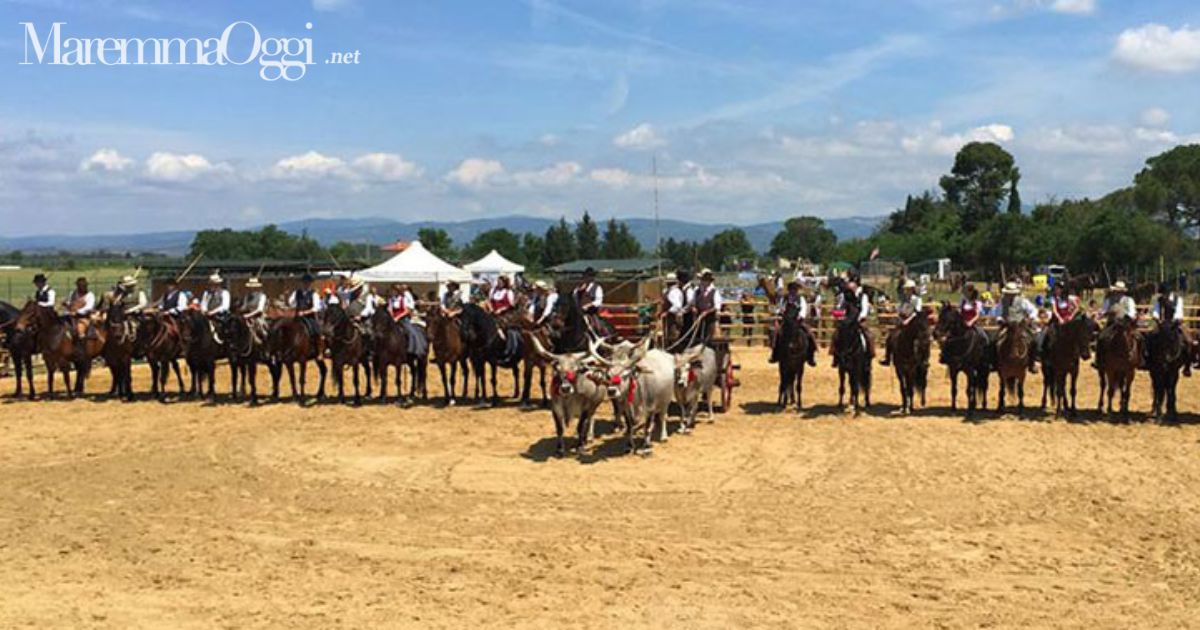 Uno spettacolo delle scorse edizioni del Game fair