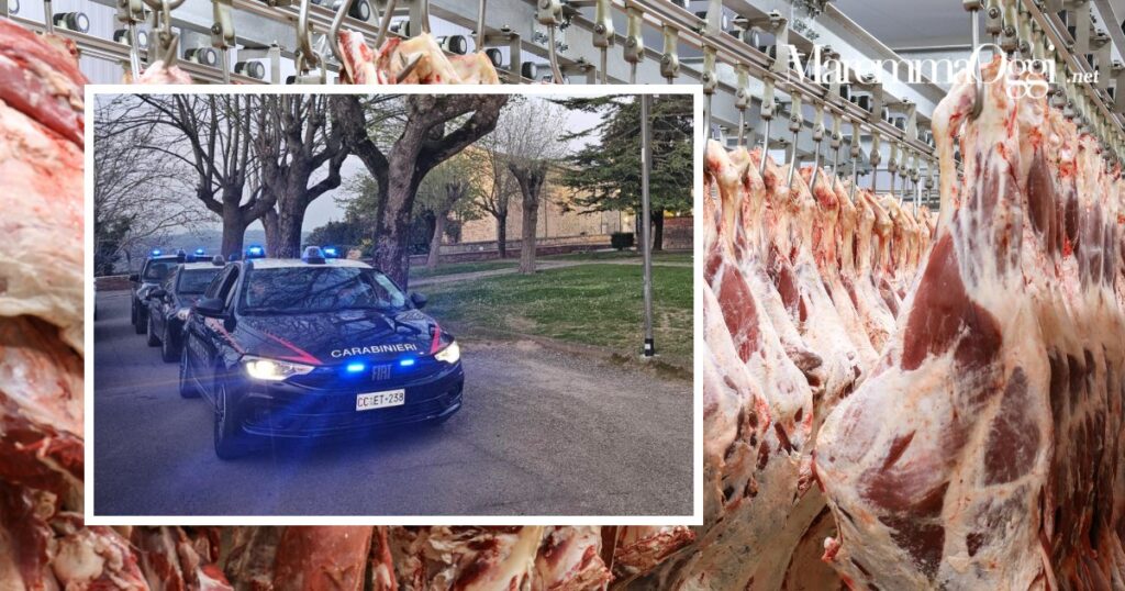 I carabinieri forestali scoprono un macello clandestino a Manciano