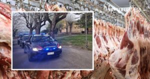 I carabinieri forestali scoprono un macello clandestino a Manciano