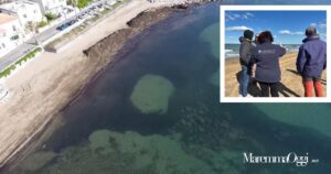 I cumuli di posidonia sulla spiaggia visti dal drone