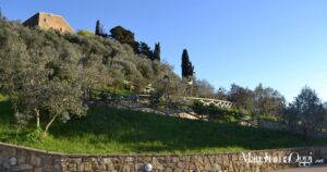 Verde pubblico a Campiglia marittima